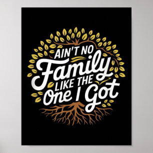 Aint no Family like One I Har Funny Family Reu Poster