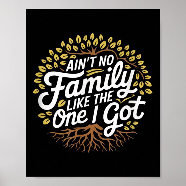 Aint no Family like One I Har Funny Family Reu Poster (Framsidan)