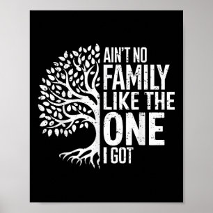 Aint no Family like One I Har Funny Family Reu Poster