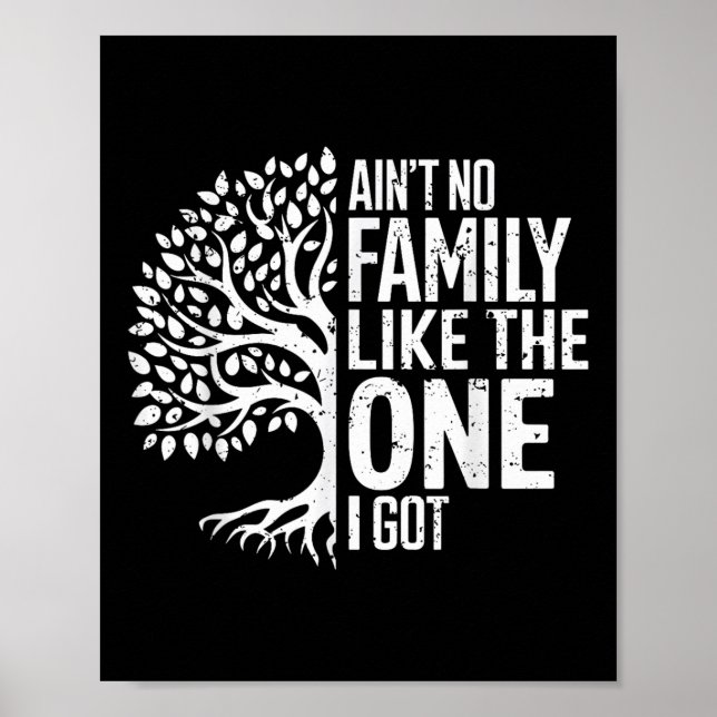 Aint no Family like One I Har Funny Family Reu Poster (Framsidan)
