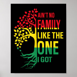Aint no Family like One I Har Funny Family Reu Poster