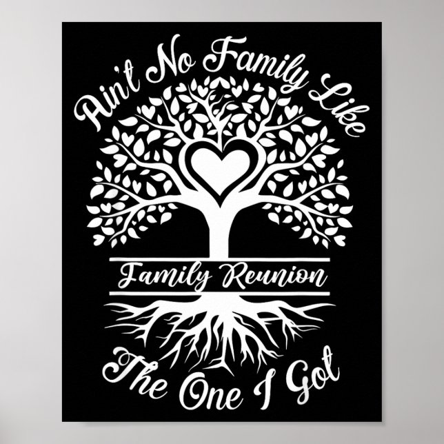 Ain't No Family Like The One I Got Matching Family Poster (Framsidan)