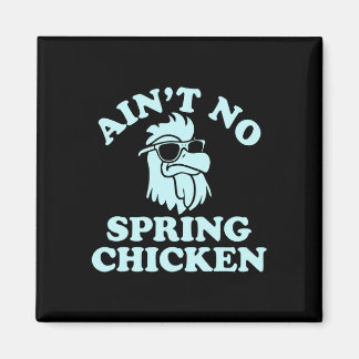 Ain't No Spring Chicken Funny Design Magnet