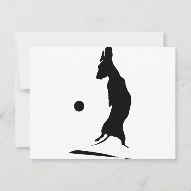 Airborne Weiner (Framsida)