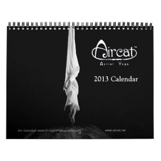 Aircat flyg- Yogakalender 2013 Kalender