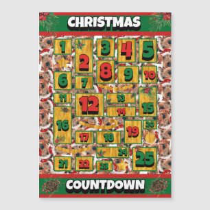 Airedale Dog Countdown Jul Adventskalender