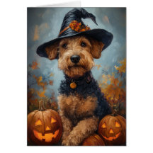Airedale Häxa Halloween