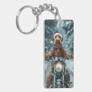 Airedale Hund Riding Motorcykel jul
