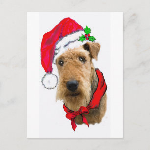 Airedale i Santa Hat Helg Vykort