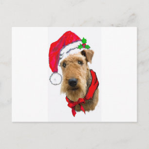 Airedale i Santa Hat Helg Vykort
