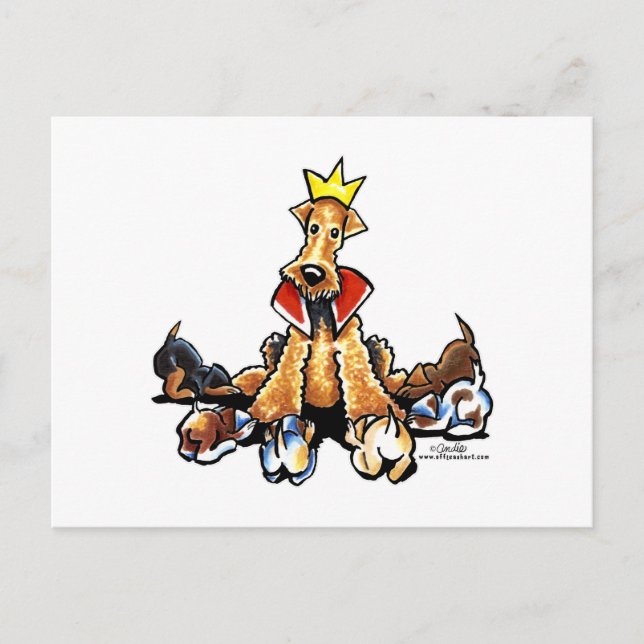 Airedale Kung i Terriers Vykort (Framsida)