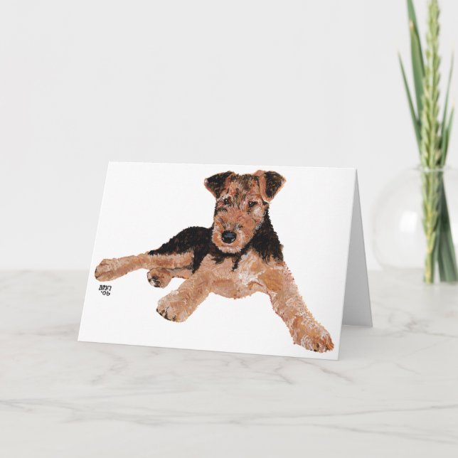 Airedale, Lakeland, Welsh Terrier Valp Kort (Framsida)