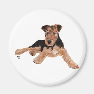 Airedale, Lakeland, Welsh Terrier Valp Magnet