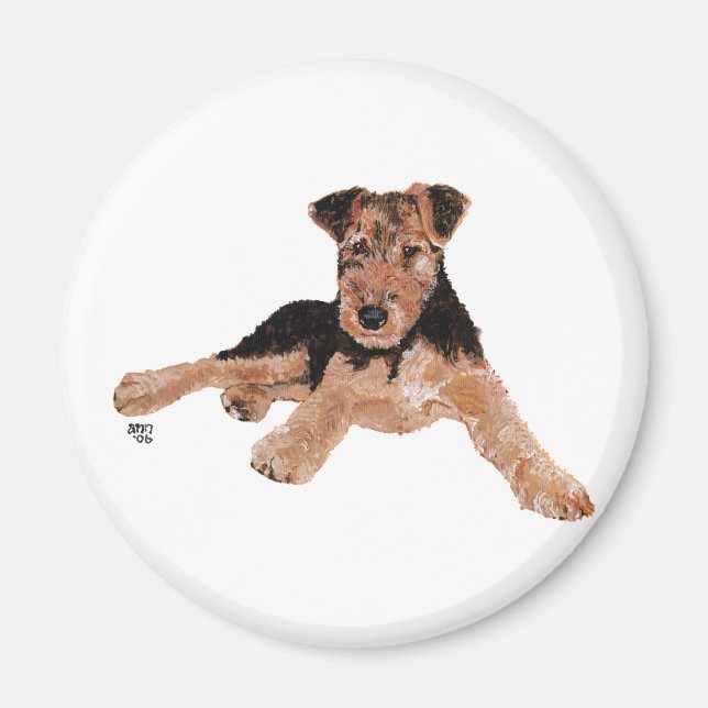 Airedale, Lakeland, Welsh Terrier Valp Magnet (Framsidan)