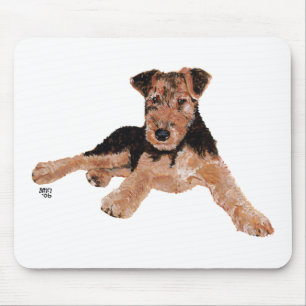 Airedale, Lakeland, Welsh Terrier Valp Musmatta