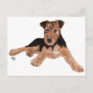 Airedale, Lakeland, Welsh Terrier Valp Vykort