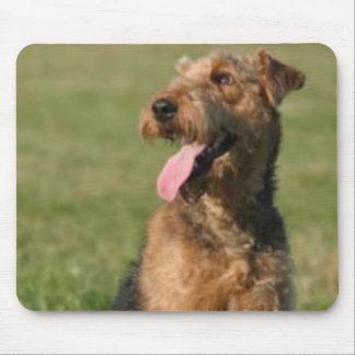 Airedale Mousepad Musmatta
