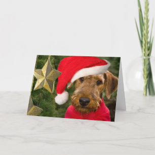 Airedale Season Hälsning-kort Helgkort
