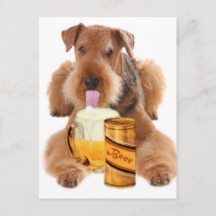 Airedale Terrier äger en öl Vykort