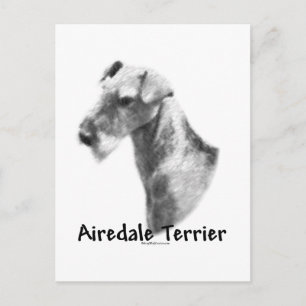 Airedale Terrier Charcol Vykort