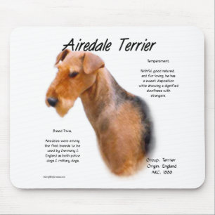 Airedale Terrier Historik Musmatta