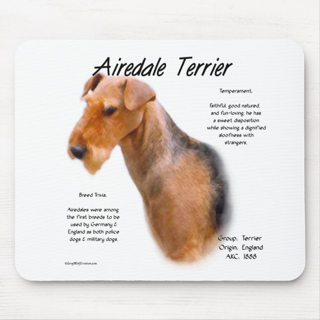 Airedale Terrier Historik Musmatta (Framsidan)