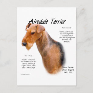 Airedale Terrier Historik Vykort