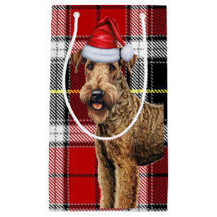 Airedale Terrier Hund Helgdag Play jul