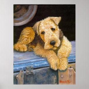 Airedale Terrier Hund Porträtt Poster