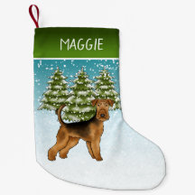 Airedale Terrier Hund Snöig Vinter Skog Och Namn
