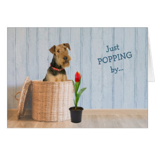 Airedale Terrier Hund Wicker Basket födelsedagskor Hälsningskort