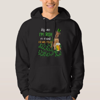 Airedale Terrier Kiss Me jag är irländsk eller dru Hoodie