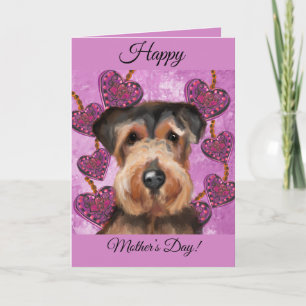 AIREDALE TERRIER KORT