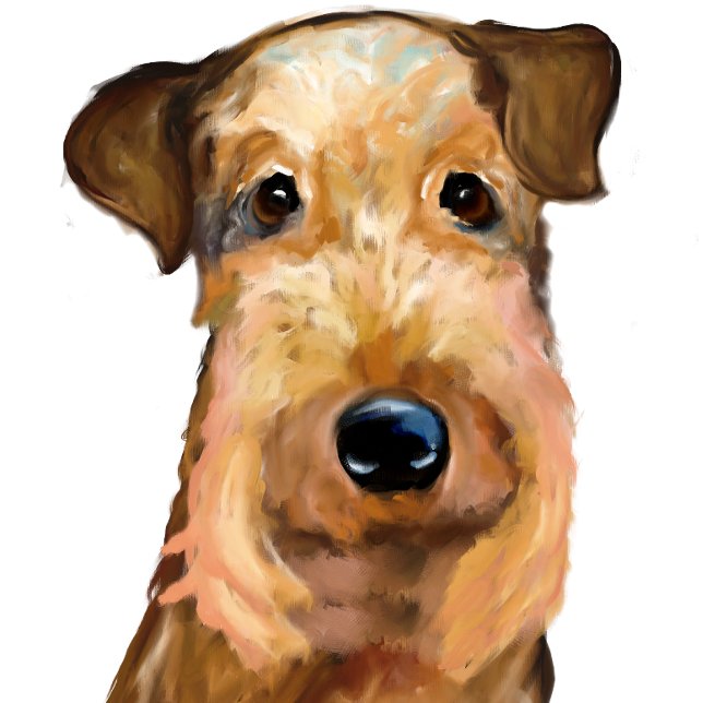 AIREDALE TERRIER KUDDE (Skapare uppladdad)