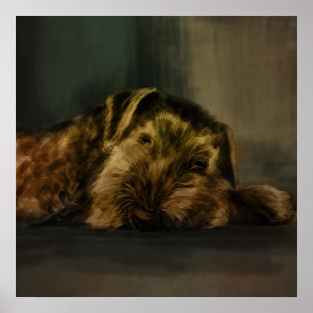 Airedale Terrier Mixmedia Poster (Framsidan)