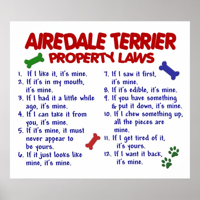 AIREDALE TERRIER PL2 POSTER (Framsidan)