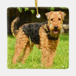 Airedale Terrier Puppy Hund Julgransprydnad Keramik