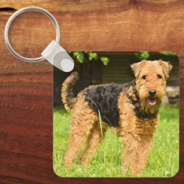 Airedale Terrier Puppy Hund Nyckelring