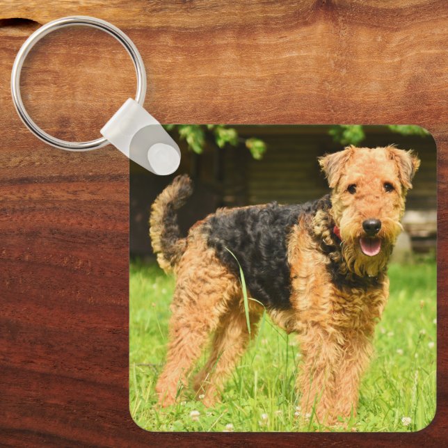 Airedale Terrier Puppy Hund Nyckelring (Framsida)