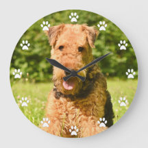 Airedale Terrier Puppy Hund