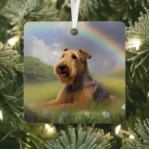 Airedale Terrier Rainbow Bridge Memorial Anpassnin