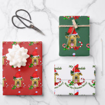 Airedale Terrier Santa Hat jul