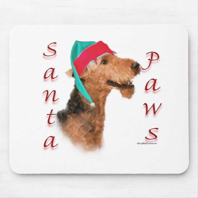 Airedale Terrier Santa Tassar Musmatta (Framsidan)
