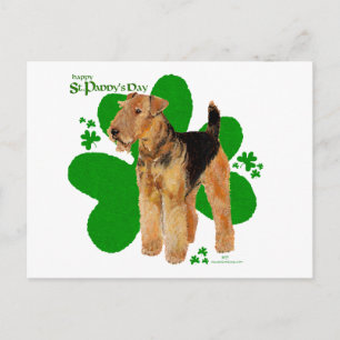 Airedale Terrier St Paddy Vykort