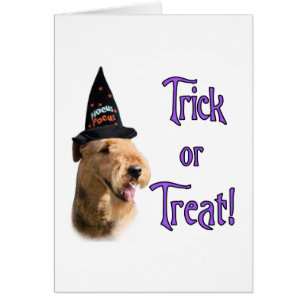 Airedale Terrier Trick Hälsningskort
