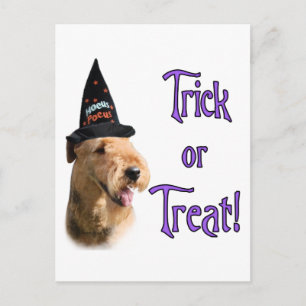 Airedale Terrier Trick Vykort
