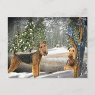 Airedale Terrier Winter Day-gåvor Vykort