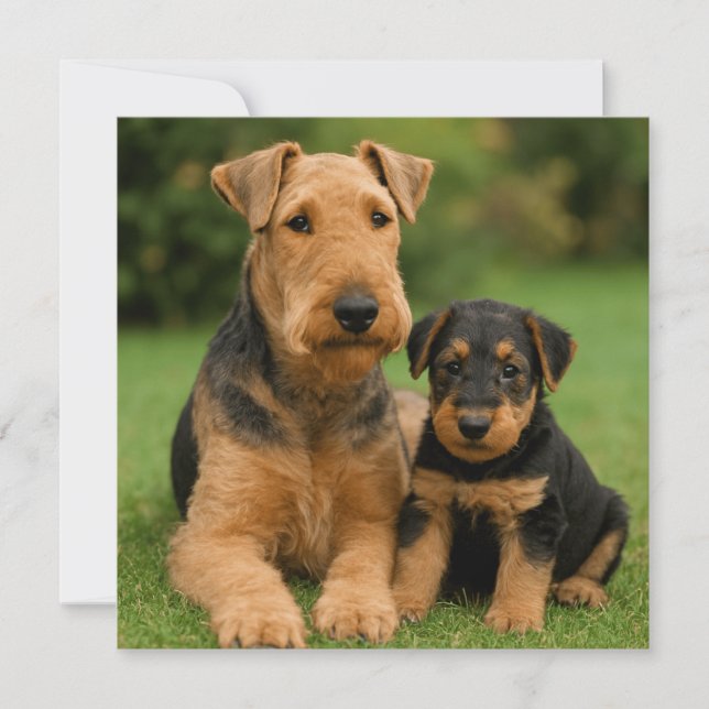 Airedale Terrier with puppy Inbjudningar (Framsida)