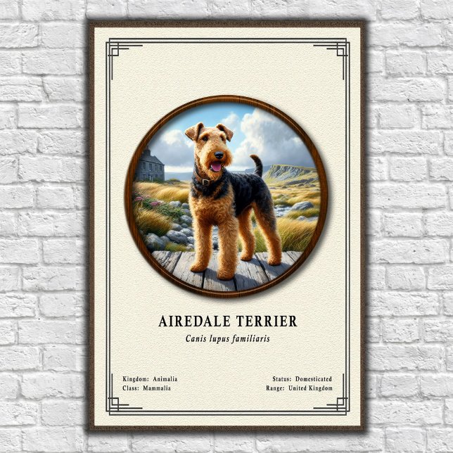 Airedale Terrier Zoologi Serie Poster (Skapare uppladdad)