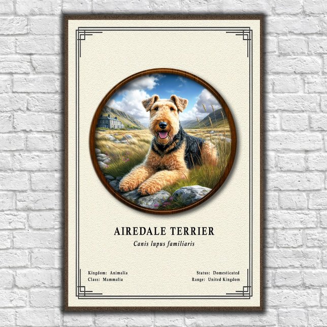 Airedale Terrier Zoologi Serie Poster (Skapare uppladdad)